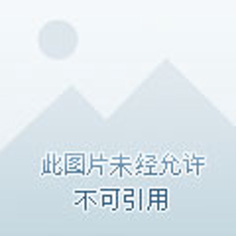 手机科技:广安的选择越来越丰富